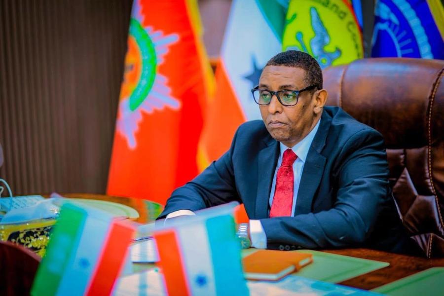 Somaliland undocumented foreigners order 10 days 2026