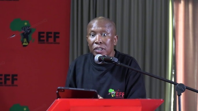 Malema MacG Ndlozi podcast comments African Renaissance 2026