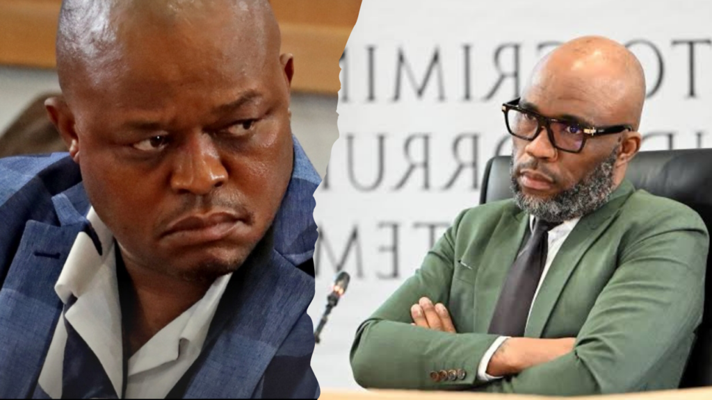 Cat Matlala Madlanga Commission Brown Mogotsi testimony 2026