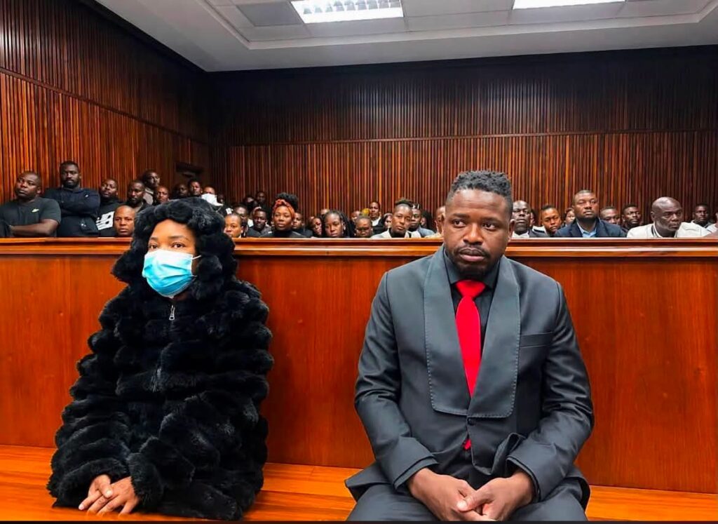 Peter Nonyane TMPD arrest Hawks deceased estate fraud 2026