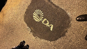 DA Stamps Its Logo on Fixed Potholes and Splits South Africans Online